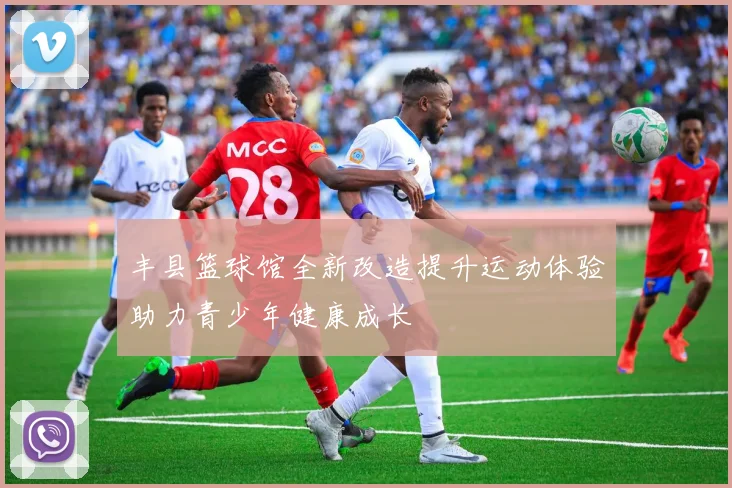 丰县篮球馆全新改造提升运动体验助力青少年健康成长