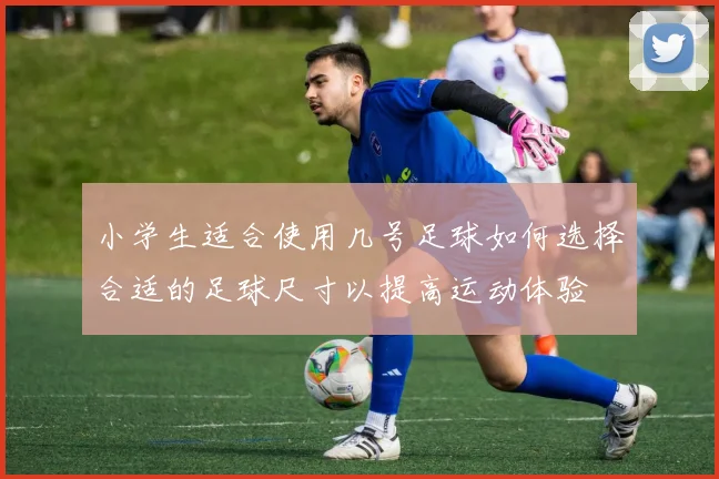 小学生适合使用几号足球如何选择合适的足球尺寸以提高运动体验