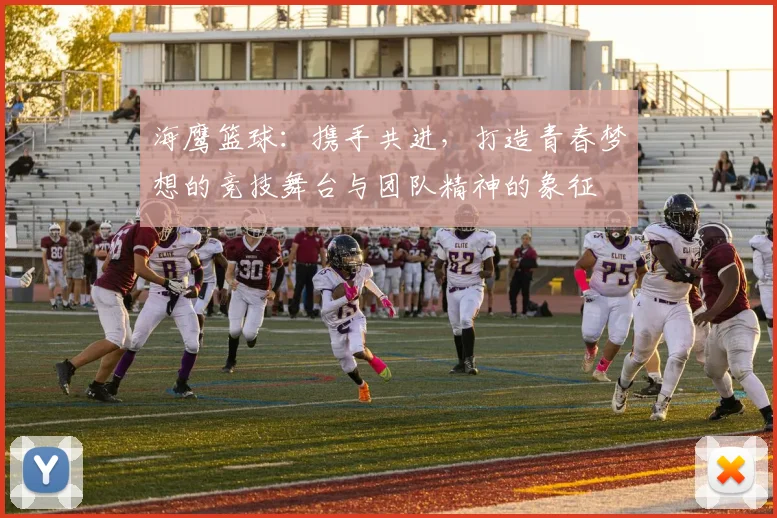 海鹰篮球：携手共进，打造青春梦想的竞技舞台与团队精神的象征