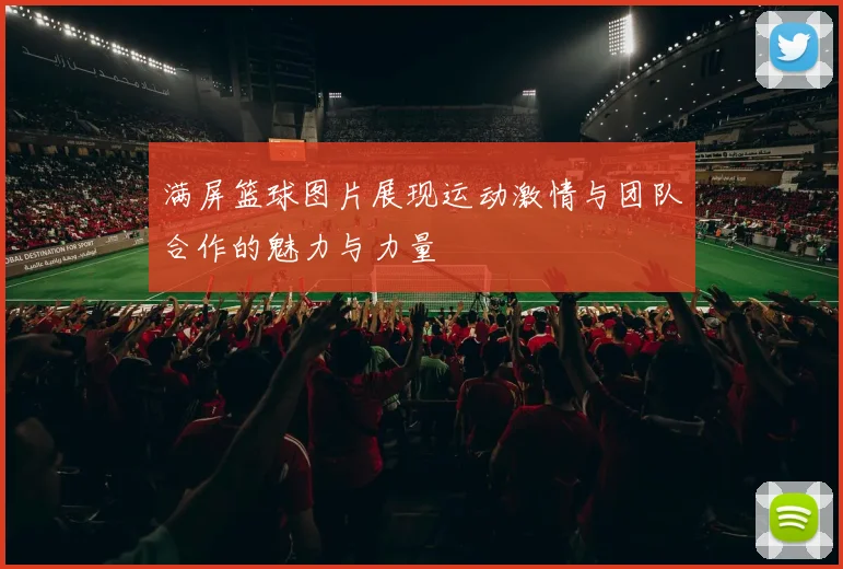 满屏篮球图片展现运动激情与团队合作的魅力与力量