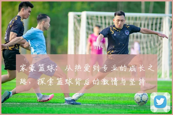 家豪篮球：从热爱到专业的成长之路，探索篮球背后的激情与坚持