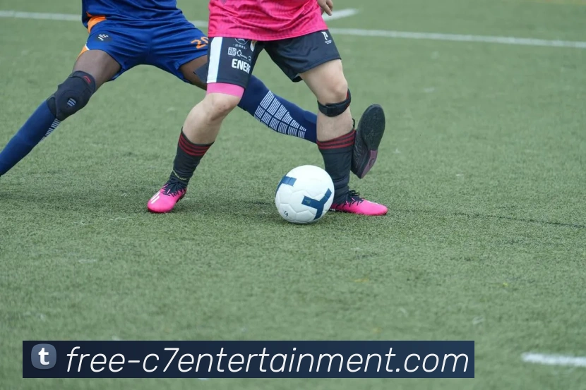 辅助工具 辅助工具